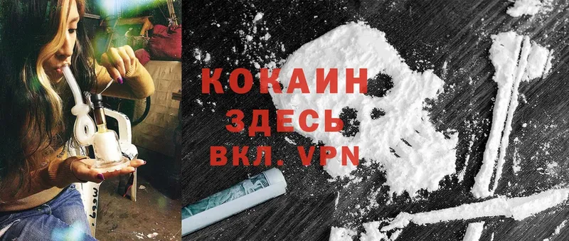 купить наркотик  Йошкар-Ола  Cocaine Эквадор 